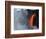 USA, Hawaii, Big Island. Lava from the Big Island's Pu'u O'o flowing into the Kalapana coast.-Julie Eggers-Framed Photographic Print