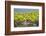 USA, Hawaii, Honokohau Bay. Pacific golden plover close-up.-Jaynes Gallery-Framed Photographic Print