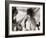 USA, Hawaii, Kauai, Hibiscus-Savanah Plank-Framed Photo