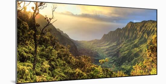 USA, Hawaii, Kauai, Na Pali Coast, Kalalau Valley-Michele Falzone-Mounted Photographic Print