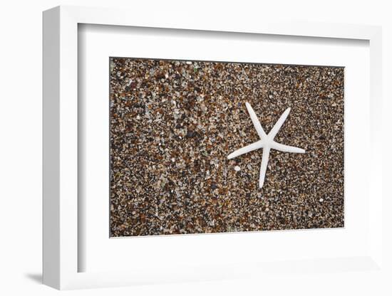 USA, Hawaii, Kauai. Starfish skeleton on Glass Beach.-Jaynes Gallery-Framed Photographic Print