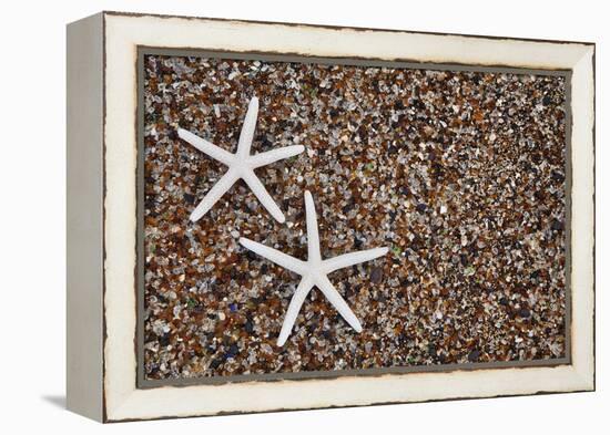 USA, Hawaii, Kauai. Starfish skeletons on Glass Beach.-Jaynes Gallery-Framed Premier Image Canvas