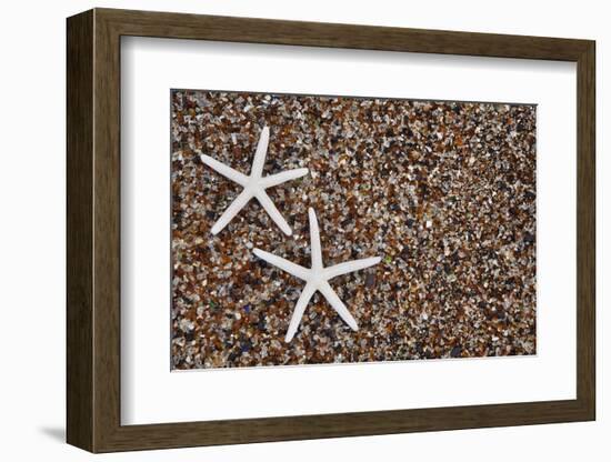 USA, Hawaii, Kauai. Starfish skeletons on Glass Beach.-Jaynes Gallery-Framed Photographic Print