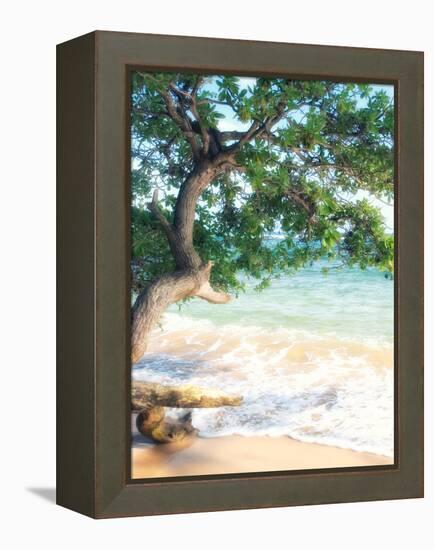 USA, Hawaii, Kauai-Savanah Plank-Framed Stretched Canvas