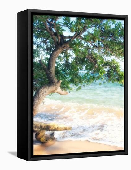 USA, Hawaii, Kauai-Savanah Plank-Framed Stretched Canvas