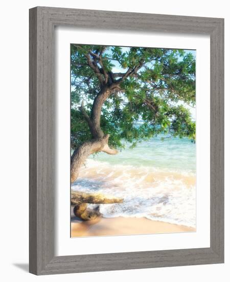 USA, Hawaii, Kauai-Savanah Plank-Framed Photo