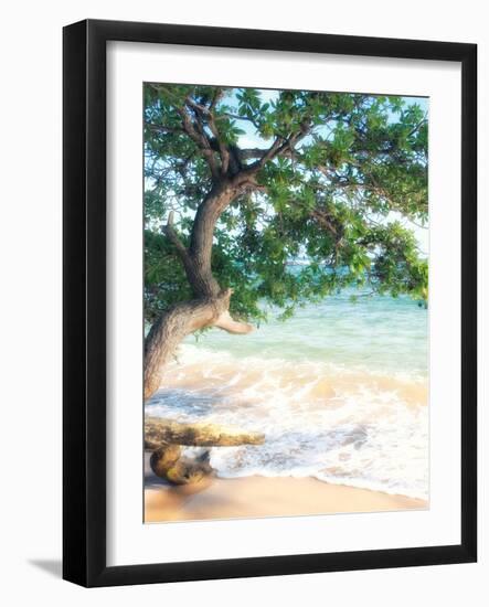 USA, Hawaii, Kauai-Savanah Plank-Framed Photo