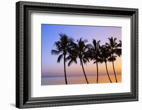 USA, Hawaii, Molokai. Palm Tree, Morning-Walter Bibikow-Framed Photographic Print