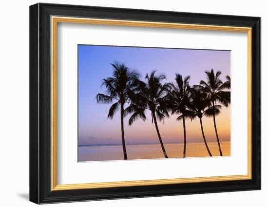 USA, Hawaii, Molokai. Palm Tree, Morning-Walter Bibikow-Framed Photographic Print