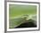 USA, Hawaii, Oahu, Green Anole-Rob Tilley-Framed Photographic Print