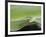 USA, Hawaii, Oahu, Green Anole-Rob Tilley-Framed Photographic Print