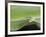 USA, Hawaii, Oahu, Green Anole-Rob Tilley-Framed Photographic Print