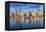 USA, Hawaii, Oahu, Honolulu, Ala Moana Marina-Rob Tilley-Framed Premier Image Canvas