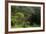 USA, Hawaii, Oahu, Honolulu. Lyon Arboretum Landscape across Manoa Valley-Charles Crust-Framed Photographic Print