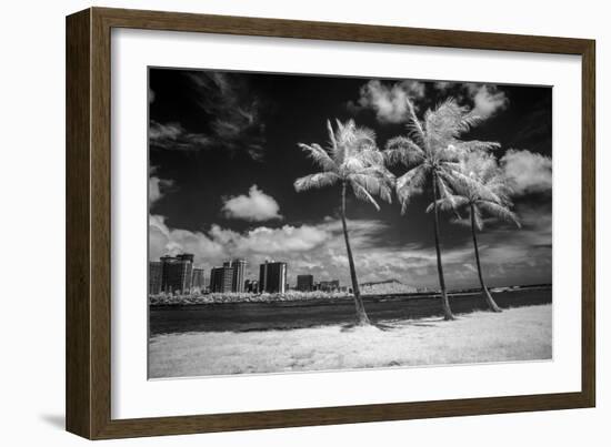 USA, Hawaii, Oahu, Honolulu, Palm trees on the beach.-Peter Hawkins-Framed Photographic Print