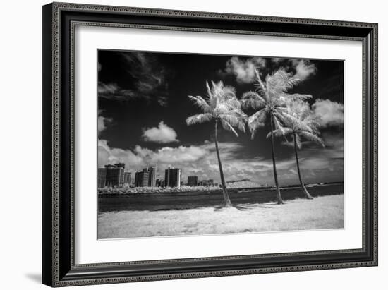 USA, Hawaii, Oahu, Honolulu, Palm trees on the beach.-Peter Hawkins-Framed Photographic Print