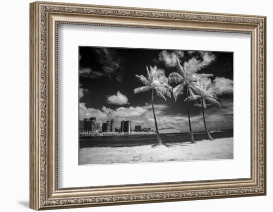 USA, Hawaii, Oahu, Honolulu, Palm trees on the beach.-Peter Hawkins-Framed Photographic Print