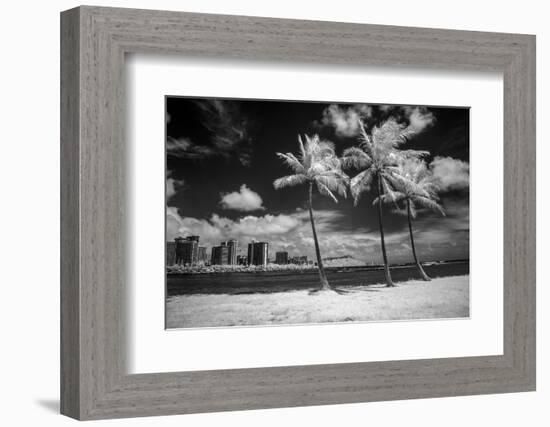 USA, Hawaii, Oahu, Honolulu, Palm trees on the beach.-Peter Hawkins-Framed Photographic Print