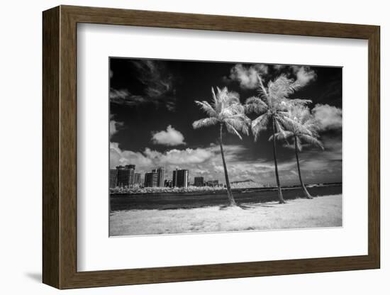 USA, Hawaii, Oahu, Honolulu, Palm trees on the beach.-Peter Hawkins-Framed Photographic Print