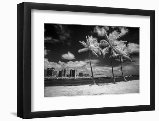 USA, Hawaii, Oahu, Honolulu, Palm trees on the beach.-Peter Hawkins-Framed Photographic Print