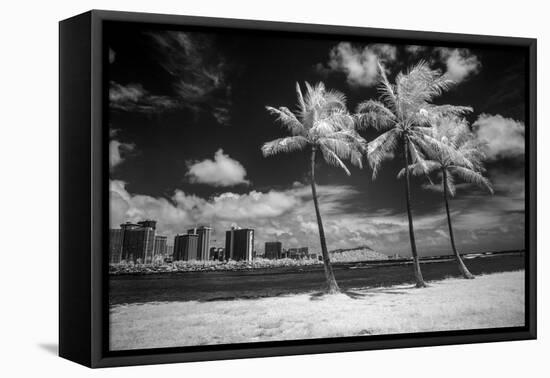 USA, Hawaii, Oahu, Honolulu, Palm trees on the beach.-Peter Hawkins-Framed Premier Image Canvas