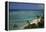 USA, Hawaii, Oahu, Honolulu, Waikiki, Fort Derussy Beach Park-David Wall-Framed Premier Image Canvas