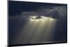 USA, Hawaii, Oahu, Ship and Rays of Sunlight Off Honolulu-David Wall-Mounted Photographic Print