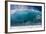 USA, Hawaii, Oahu, Surfers in Action at the Pipeline-Terry Eggers-Framed Photographic Print