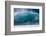 USA, Hawaii, Oahu, Surfers in Action at the Pipeline-Terry Eggers-Framed Photographic Print