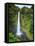 USA, Hawaii, the Big Island, Akaka Falls State Park-Michele Falzone-Framed Premier Image Canvas