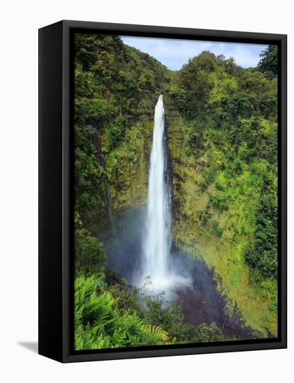 USA, Hawaii, the Big Island, Akaka Falls State Park-Michele Falzone-Framed Premier Image Canvas