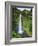 USA, Hawaii, the Big Island, Akaka Falls State Park-Michele Falzone-Framed Photographic Print