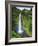 USA, Hawaii, the Big Island, Akaka Falls State Park-Michele Falzone-Framed Photographic Print