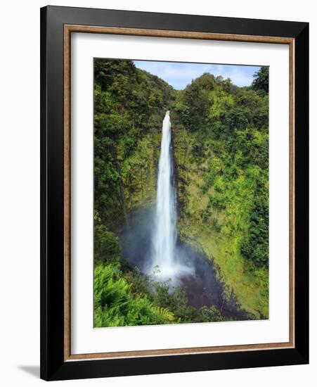 USA, Hawaii, the Big Island, Akaka Falls State Park-Michele Falzone-Framed Photographic Print