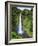 USA, Hawaii, the Big Island, Akaka Falls State Park-Michele Falzone-Framed Photographic Print