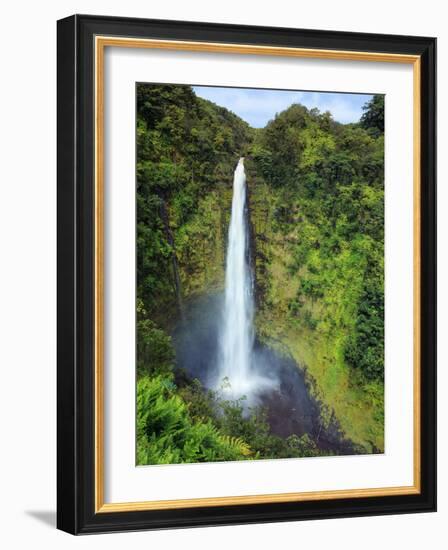 USA, Hawaii, the Big Island, Akaka Falls State Park-Michele Falzone-Framed Photographic Print