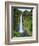 USA, Hawaii, the Big Island, Akaka Falls State Park-Michele Falzone-Framed Photographic Print