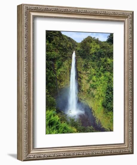 USA, Hawaii, the Big Island, Akaka Falls State Park-Michele Falzone-Framed Photographic Print