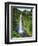 USA, Hawaii, the Big Island, Akaka Falls State Park-Michele Falzone-Framed Photographic Print