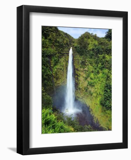 USA, Hawaii, the Big Island, Akaka Falls State Park-Michele Falzone-Framed Photographic Print