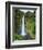 USA, Hawaii, the Big Island, Akaka Falls State Park-Michele Falzone-Framed Photographic Print