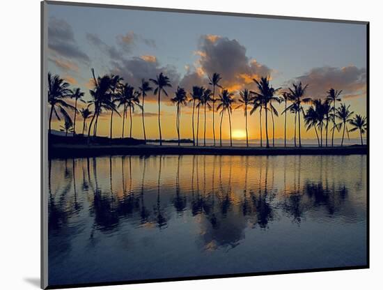 USA, Hawaii, The Big Island, Palms at Sunset-Charles Gurche-Mounted Photographic Print