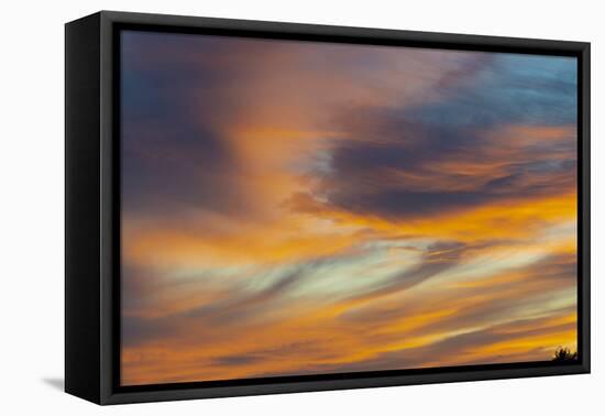 USA, Idaho. Backlit Cirrus Clouds can make a magnificent sunset.-Howie Garber-Framed Premier Image Canvas