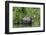 USA, Idaho. Bull Moose in Teton River-Howie Garber-Framed Photographic Print