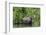 USA, Idaho. Bull Moose in Teton River-Howie Garber-Framed Photographic Print