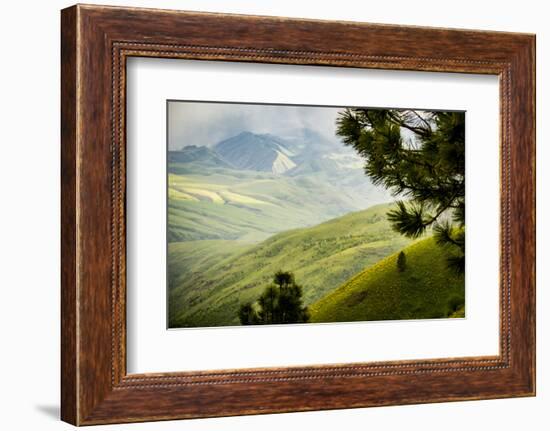 USA, Idaho. Columbia River, view south from White Bird Mountain down to agricultural valley.-Alison Jones-Framed Photographic Print