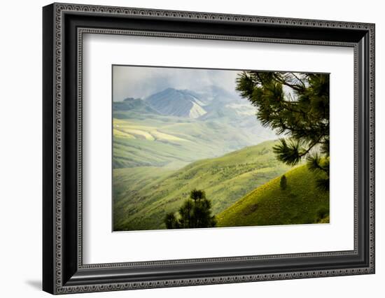 USA, Idaho. Columbia River, view south from White Bird Mountain down to agricultural valley.-Alison Jones-Framed Photographic Print