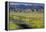 USA, Idaho, Fairfield, Camas Prairie, Creek and fence in the Camas Prairie-Terry Eggers-Framed Premier Image Canvas