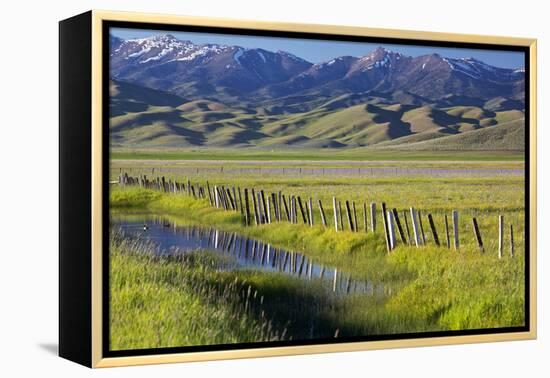 USA, Idaho, Fairfield, Camas Prairie, Creek and fence in the Camas Prairie-Terry Eggers-Framed Premier Image Canvas