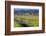 USA, Idaho, Fairfield, Camas Prairie, Creek and fence in the Camas Prairie-Terry Eggers-Framed Photographic Print